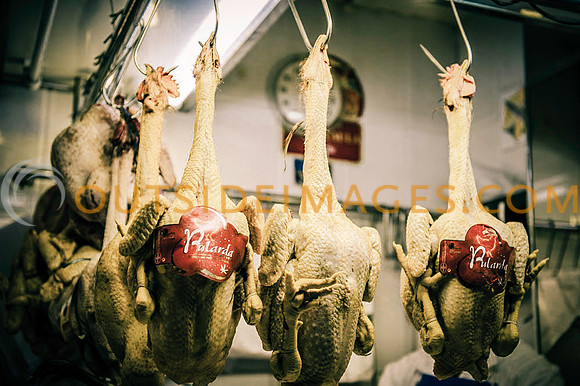 121221_TODD_0368