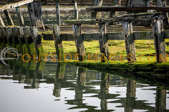 080912_TODD_5487