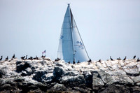 260612_TODD_IMAGES_842