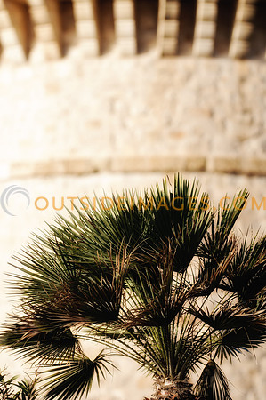 ONZ_0732