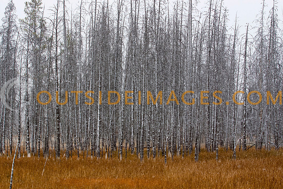 _MG_6760