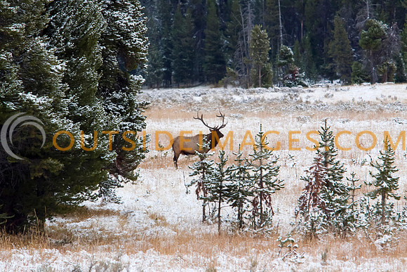 _MG_6790