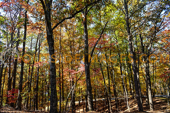 __131103_TODD_0544