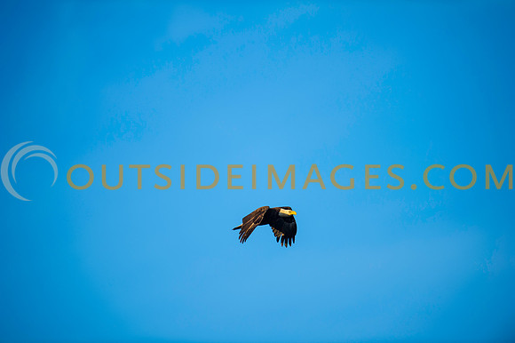 160308_TODD_0486