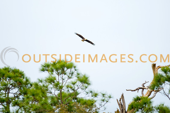 160220_TODD_0090