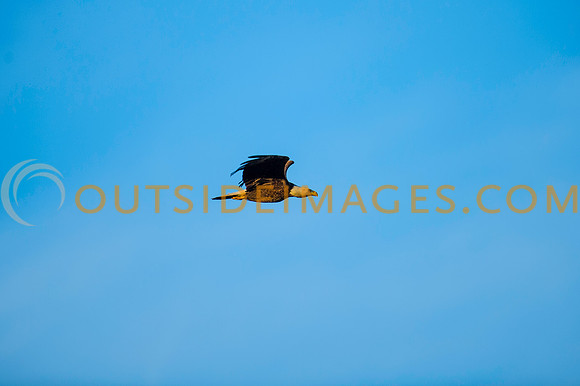 160308_TODD_0481