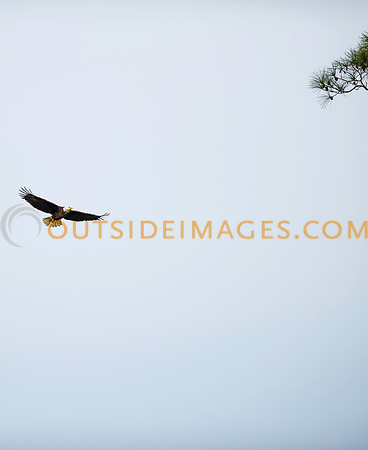 160220_TODD_0117