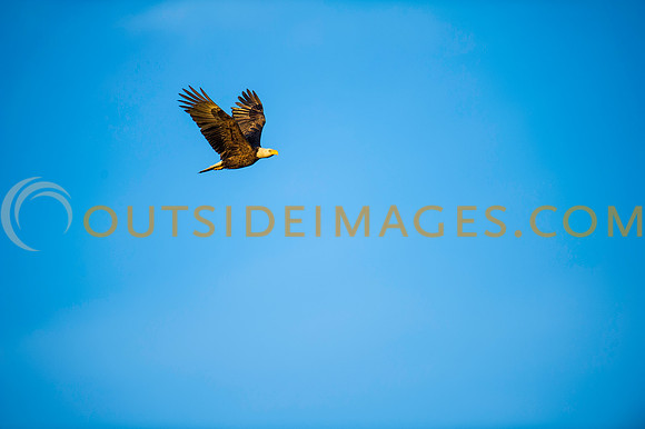 160308_TODD_0488