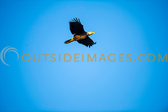 160308_TODD_0502