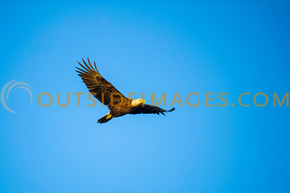 160308_TODD_0496