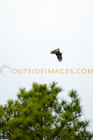 160220_TODD_0073
