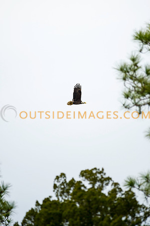 160220_TODD_0076