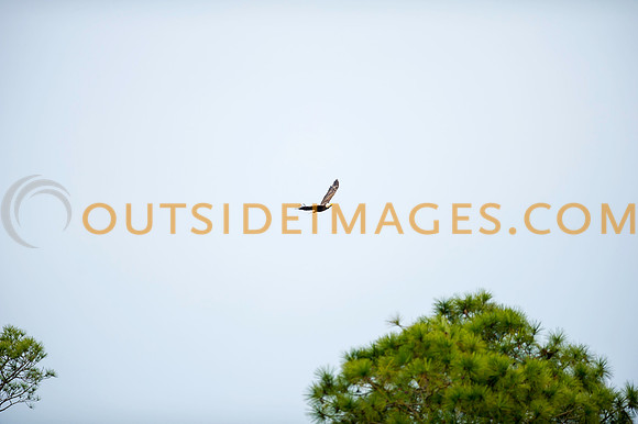 160220_TODD_0111