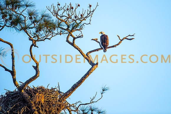160309_TODD_0528
