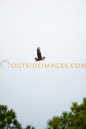 160220_TODD_0070