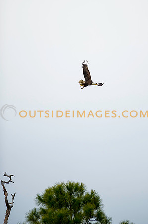 160220_TODD_0068