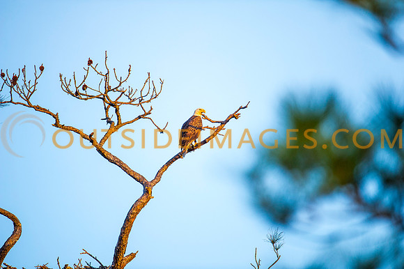 160309_TODD_0567