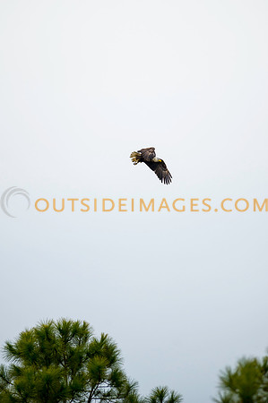 160220_TODD_0069