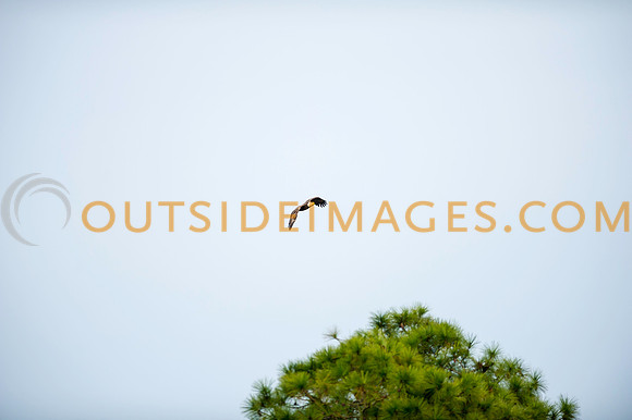 160220_TODD_0112