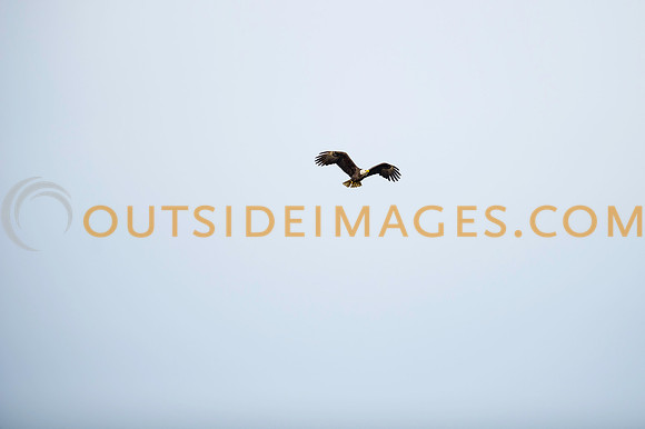 160220_TODD_0113