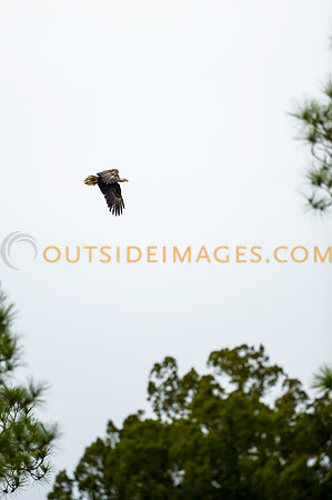 160220_TODD_0075