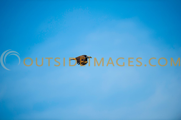 160308_TODD_0482