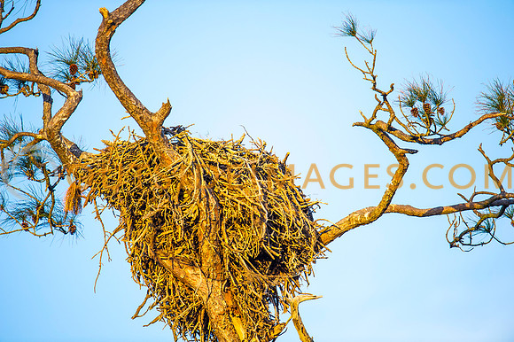 160309_TODD_0519