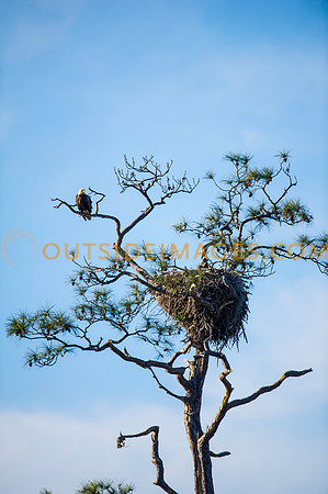 160308_TODD_0286