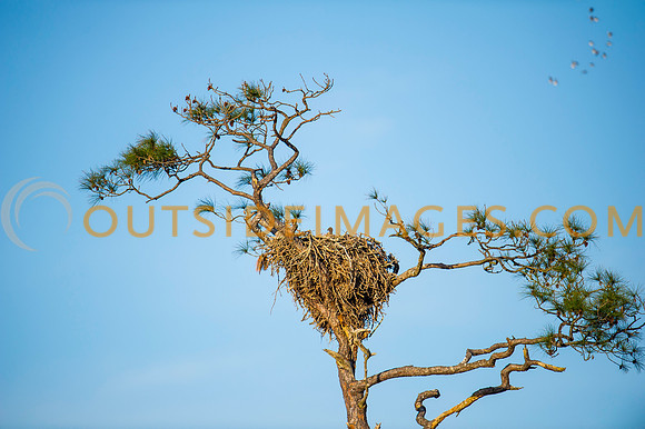 160308_TODD_0454