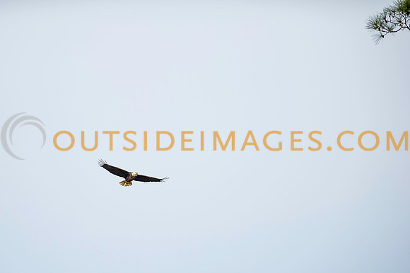 160220_TODD_0114