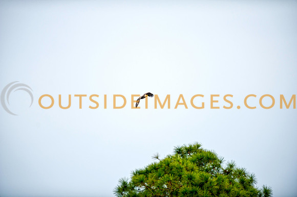 160220_TODD_0