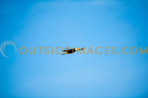 160308_TODD_0487