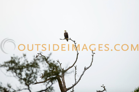 160220_TODD_0038