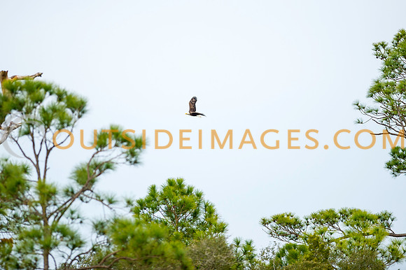 160220_TODD_0083