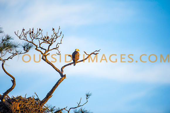 160309_TODD_0543