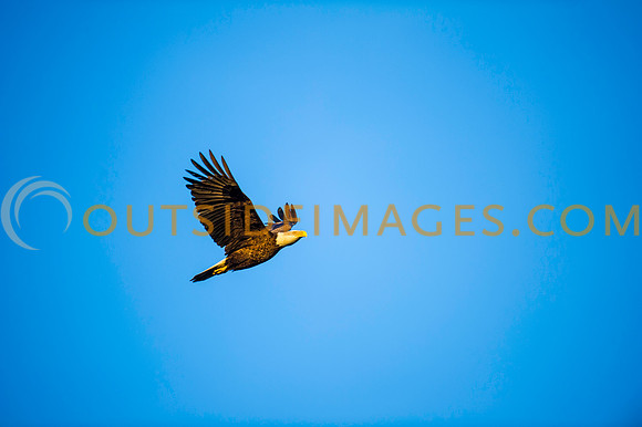 160308_TODD_0506