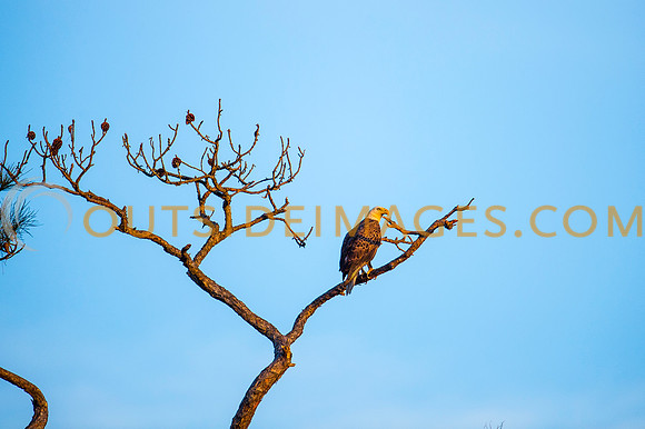 160309_TODD_0548