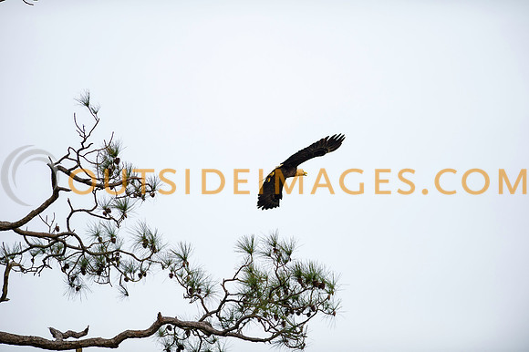 160220_TODD_0016