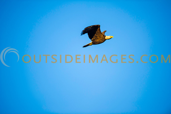 160308_TODD_0504