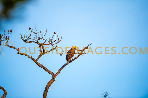 160309_TODD_0572