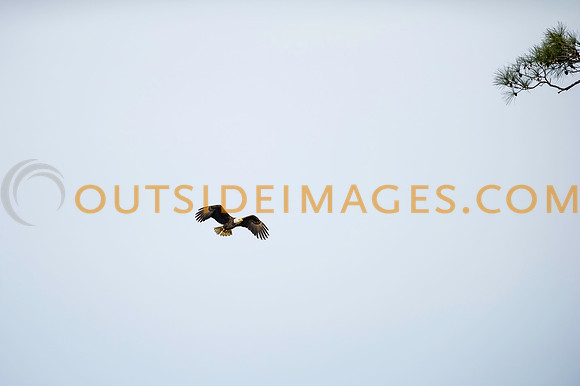 160220_TODD_0116