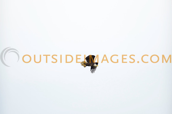 160220_TODD_0071