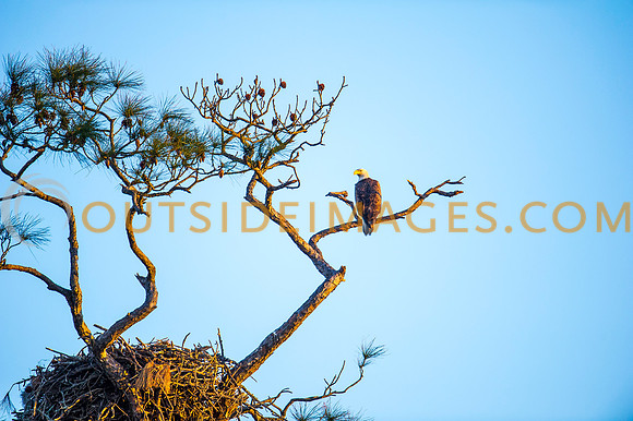160309_TODD_0539
