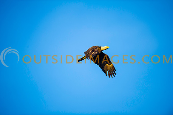 160308_TODD_0508