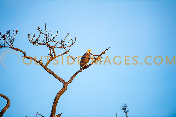 160309_TODD_0584