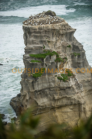 120303_TODD_0634