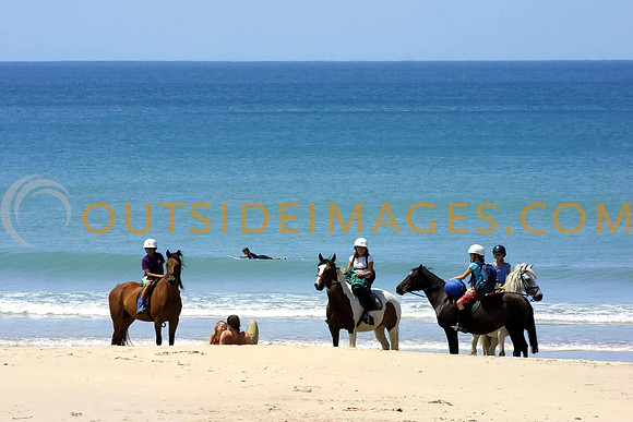 HorsesBeach-2