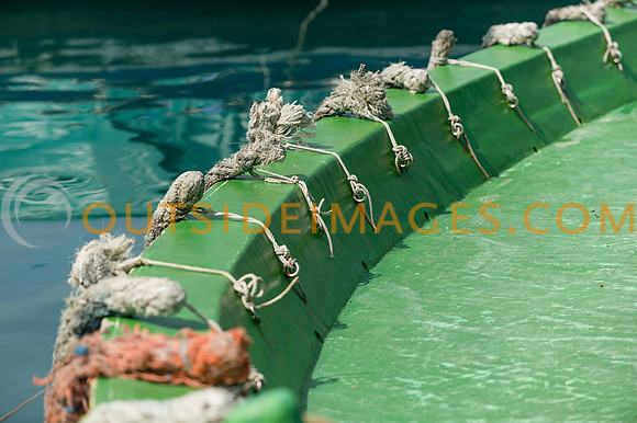 111223_TODD_0268