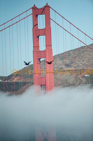 121006_TODD_0007