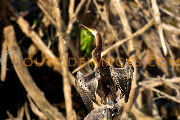 130422_GRIESER_383a